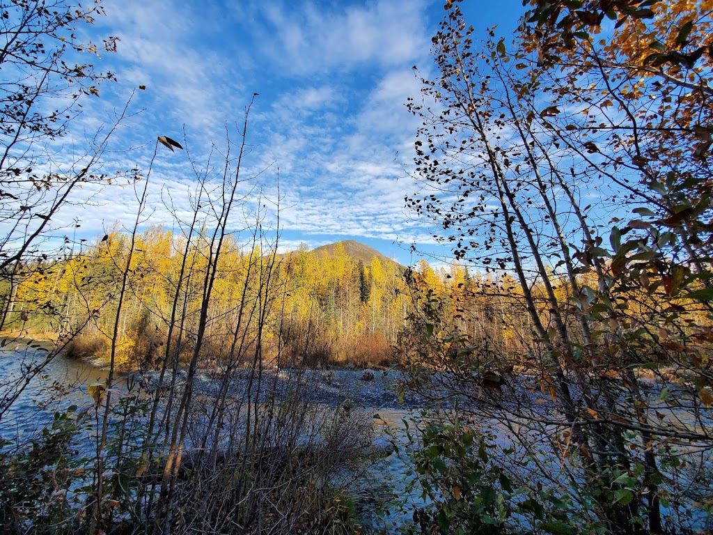 Granite Creek Campground | Moose Pass, AK 99631, USA | Phone: (907) 522-8368