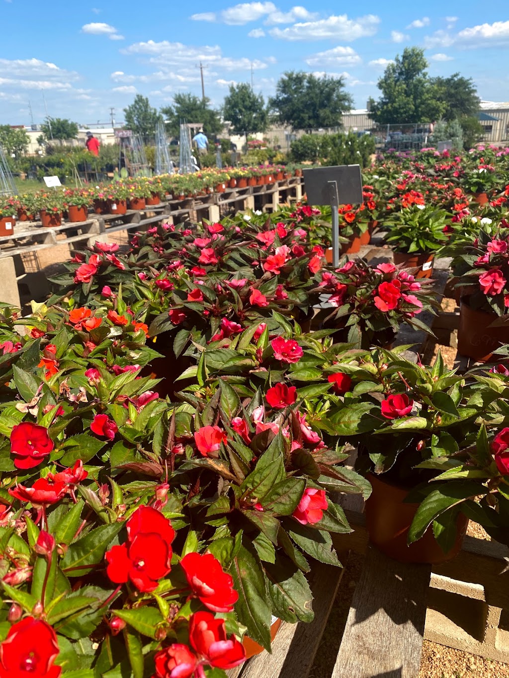Red Barn Garden Center | 690 A N Bagdad Rd, Leander, TX 78641, USA | Phone: (512) 335-8093