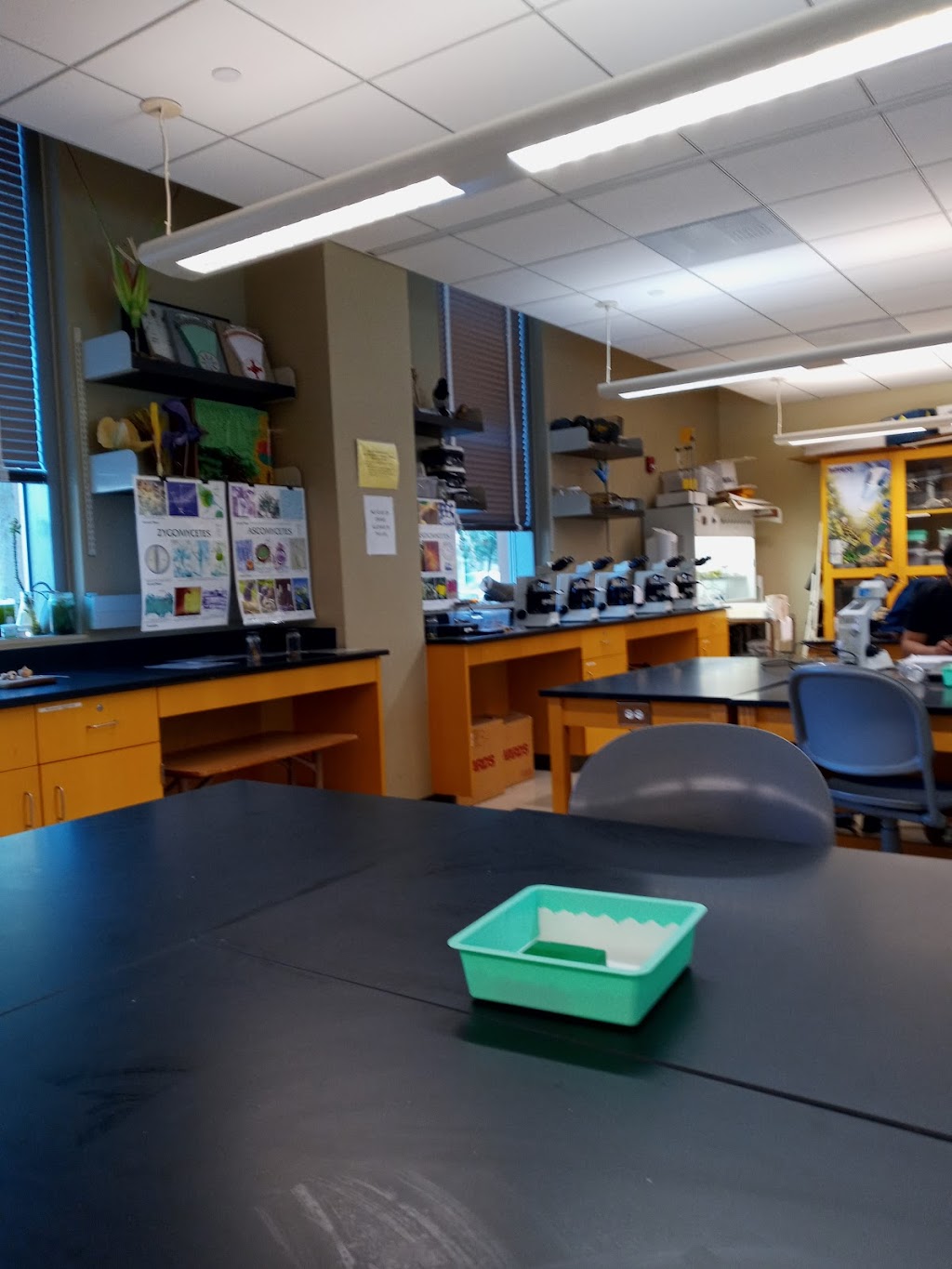 LAVC Allied Health & Sciences Center | 5800 Fulton Ave, Valley Glen, CA 91401, USA | Phone: (818) 947-2600