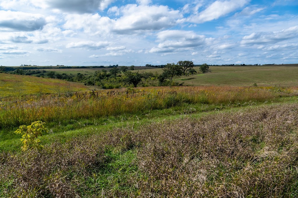 Barneveld Prairie | County Highway T, Barneveld, WI 53507, USA | Phone: (608) 924-8881