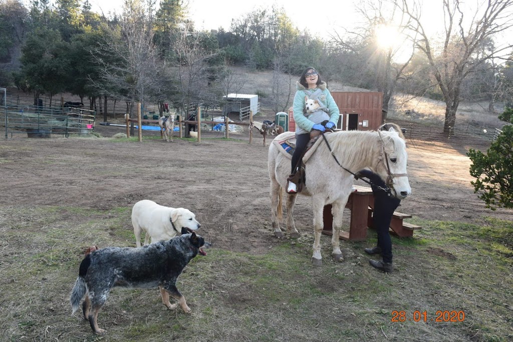 Integrity Stables | 2323 Farmer Rd, Julian, CA 92036, USA | Phone: (760) 484-2929