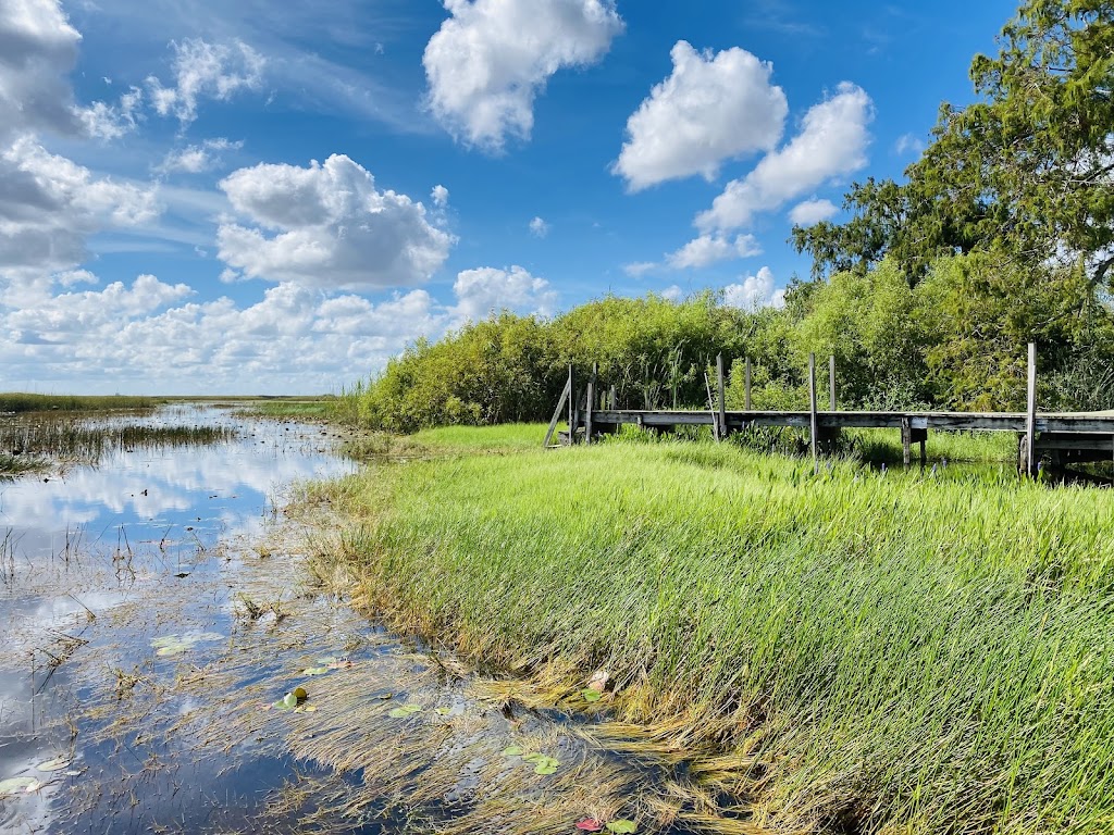 Cypress Outdoor Adventures Airboat Tours | N US Highway 27 Mile marker 38, 3, Tamarac, FL 33321, USA | Phone: (954) 260-1096
