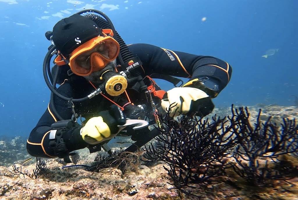 SCUBA Network - Deerfield Beach | 760 S Federal Hwy, Deerfield Beach, FL 33441, USA | Phone: (954) 422-9982