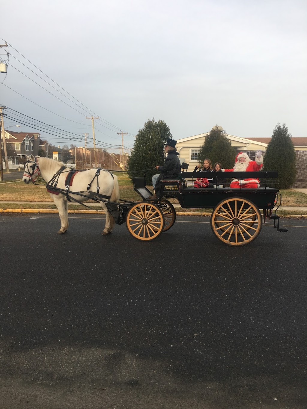 New Freedom Horse Drawn Carriages, LLC | 108 New Freedom Rd, Monroeville, NJ 08343, USA | Phone: (856) 358-6331