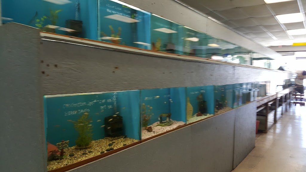 Foothill Aquatic & Pets | 2349 Foothill Blvd, La Verne, CA 91750, USA | Phone: (909) 596-8599