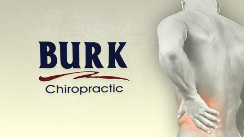 Burk Chiropractic | 453 Marshall St, Brooklyn, MI 49230, USA | Phone: (517) 592-6663