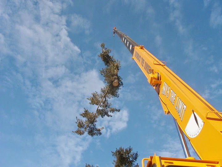 Adirondack Tree Surgeons Inc | 353 Gurn Springs Rd, Gansevoort, NY 12831, USA | Phone: (518) 792-2225