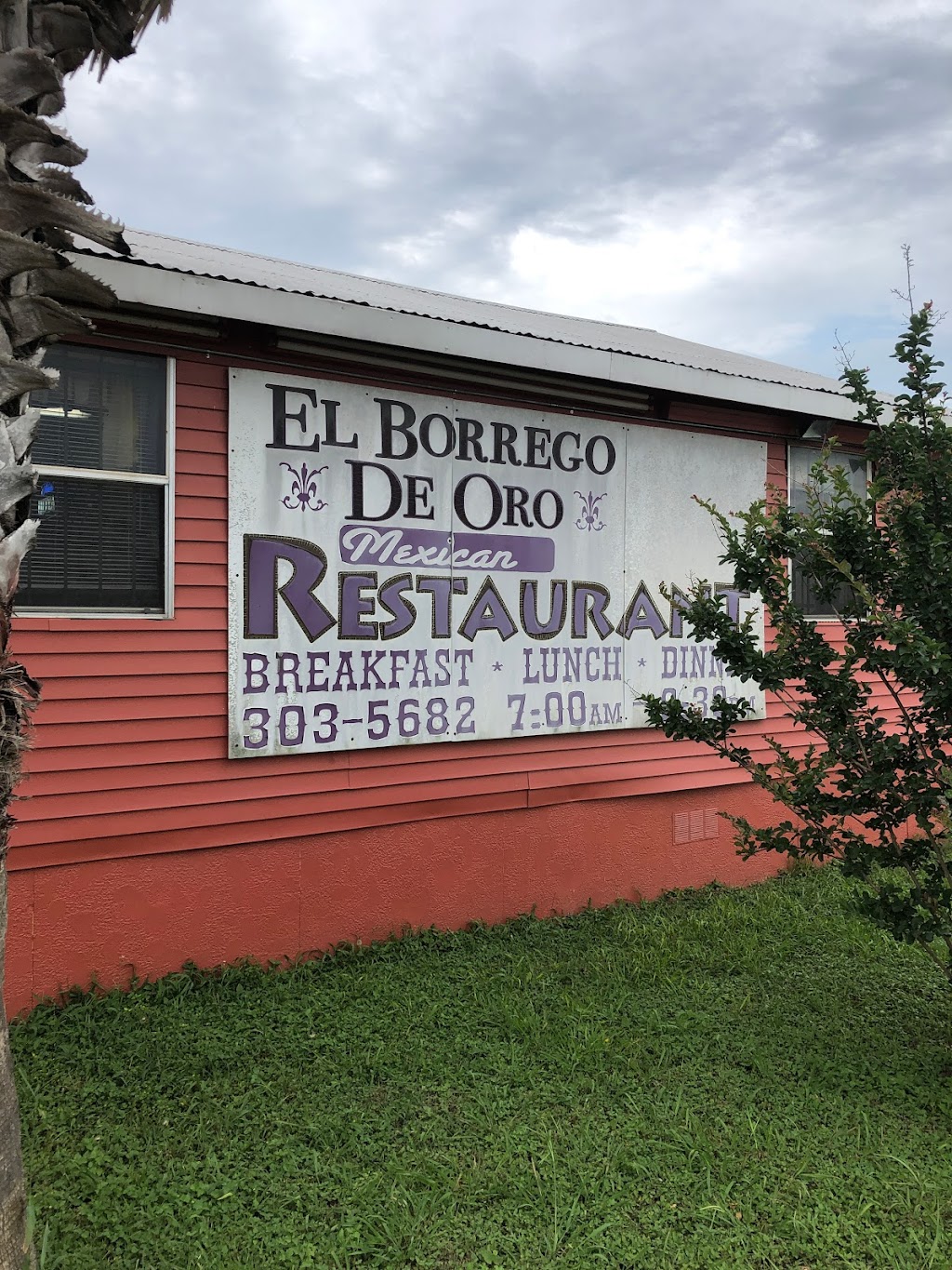 El Borrego De Oro | 2600 2374, FM 20, Red Rock, TX 78662, USA | Phone: (512) 303-5682