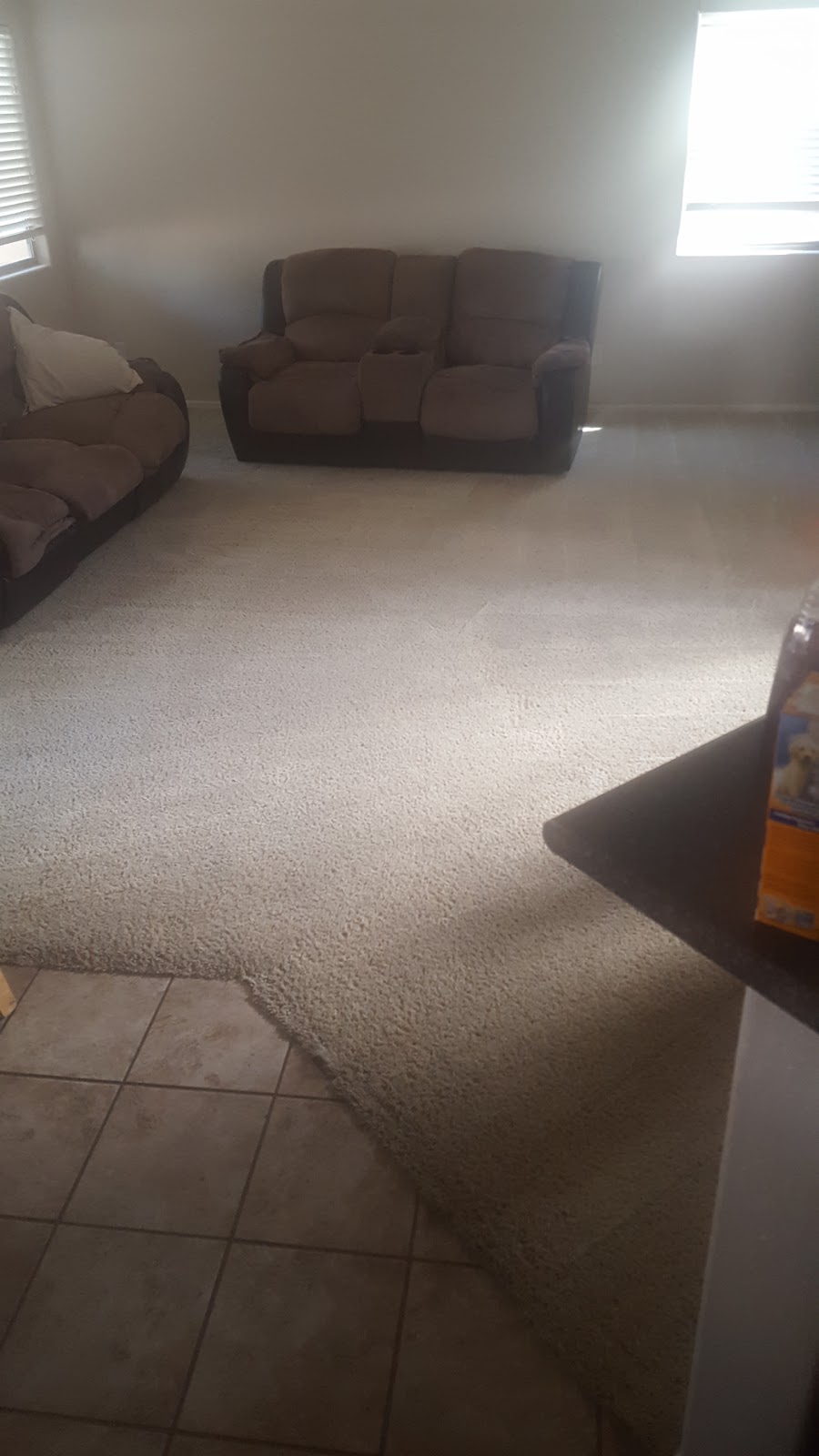 Stain Eliminator Carpet Cleaning | W Woody Rd, Maricopa, AZ 85139, USA | Phone: (505) 862-3769