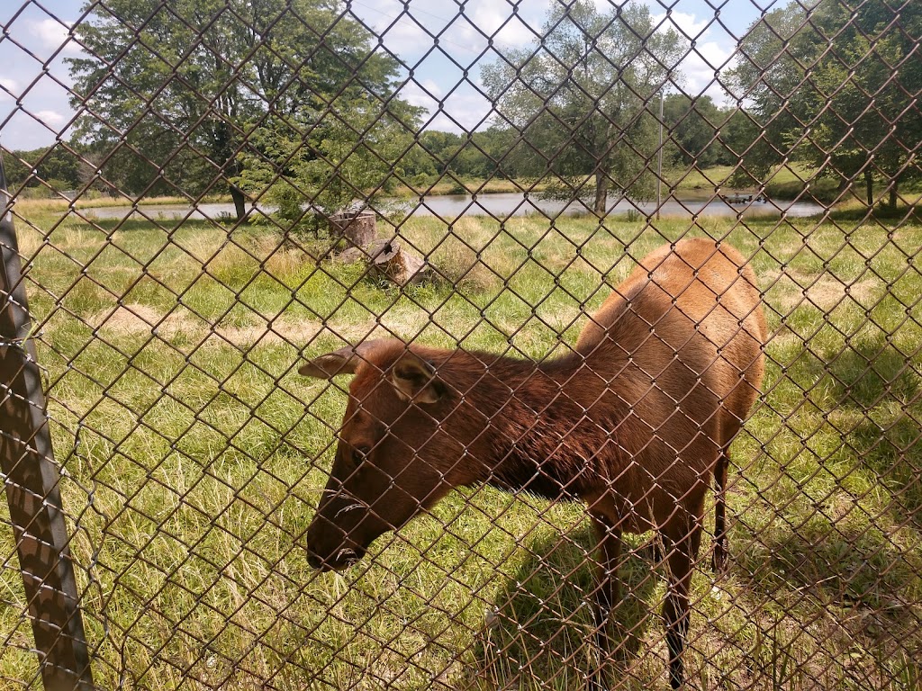 Native Hoofed Animal Enclosure | Lees Summit, MO 64064, USA | Phone: (816) 503-4800