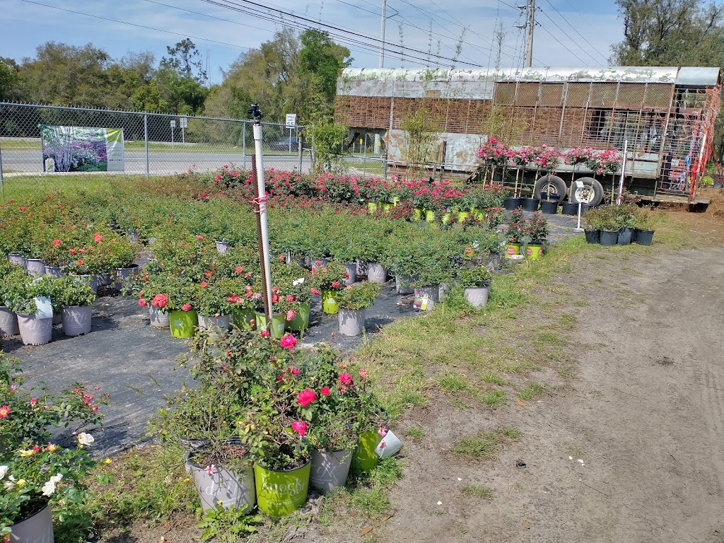 Williams Plant Nursery | 12411 Philips Hwy, Jacksonville, FL 32256, USA | Phone: (904) 292-0354