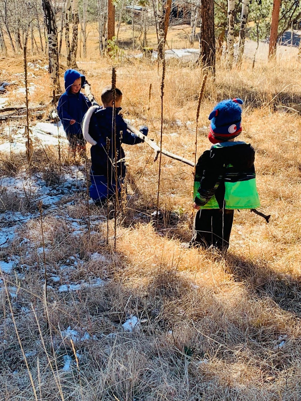 Little Feet Forest School | 7179 Ponderosa Ct, Evergreen, CO 80439, USA | Phone: (303) 358-8200