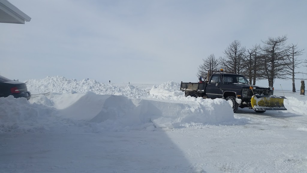 Blairs Tree Service Excavating and Repair | 11697 County, Rd P26, Blair, NE 68008, USA | Phone: (402) 533-3763