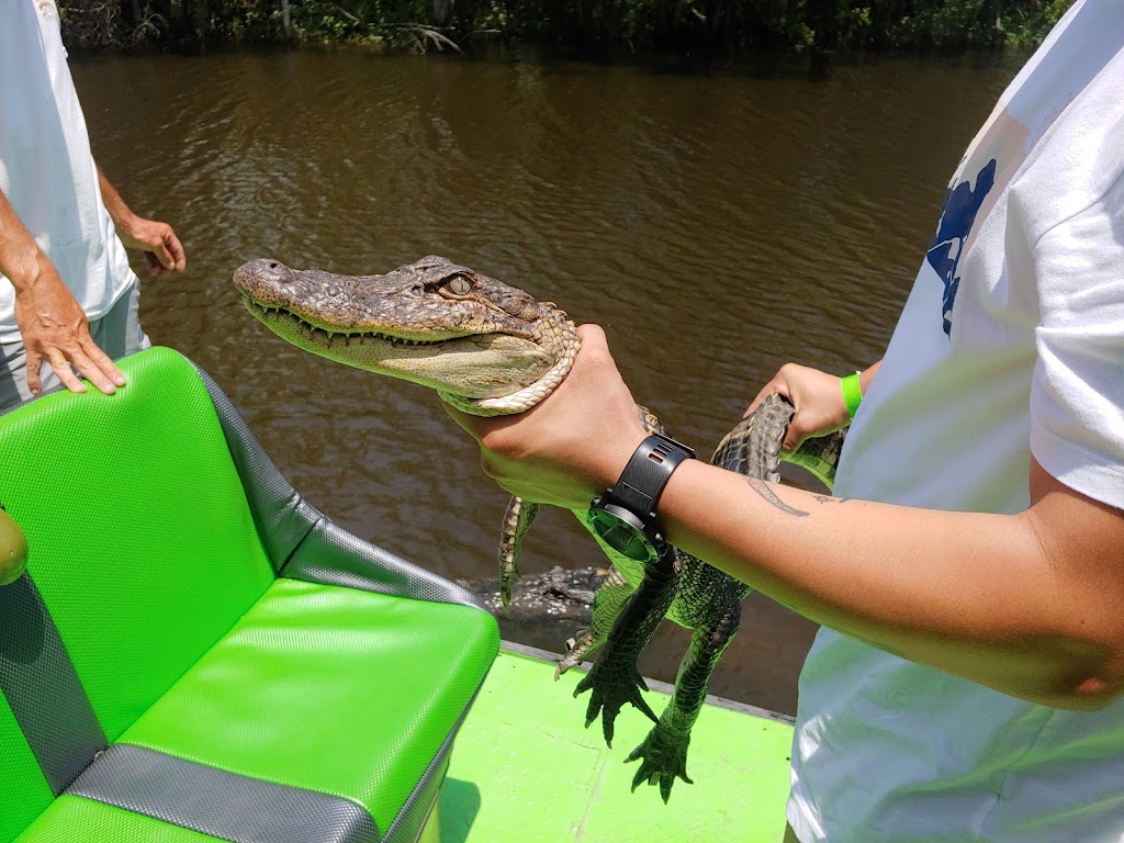 Ragin Cajun Airboat Tours | 10090 US-90, Luling, LA 70070, USA | Phone: (504) 436-8000