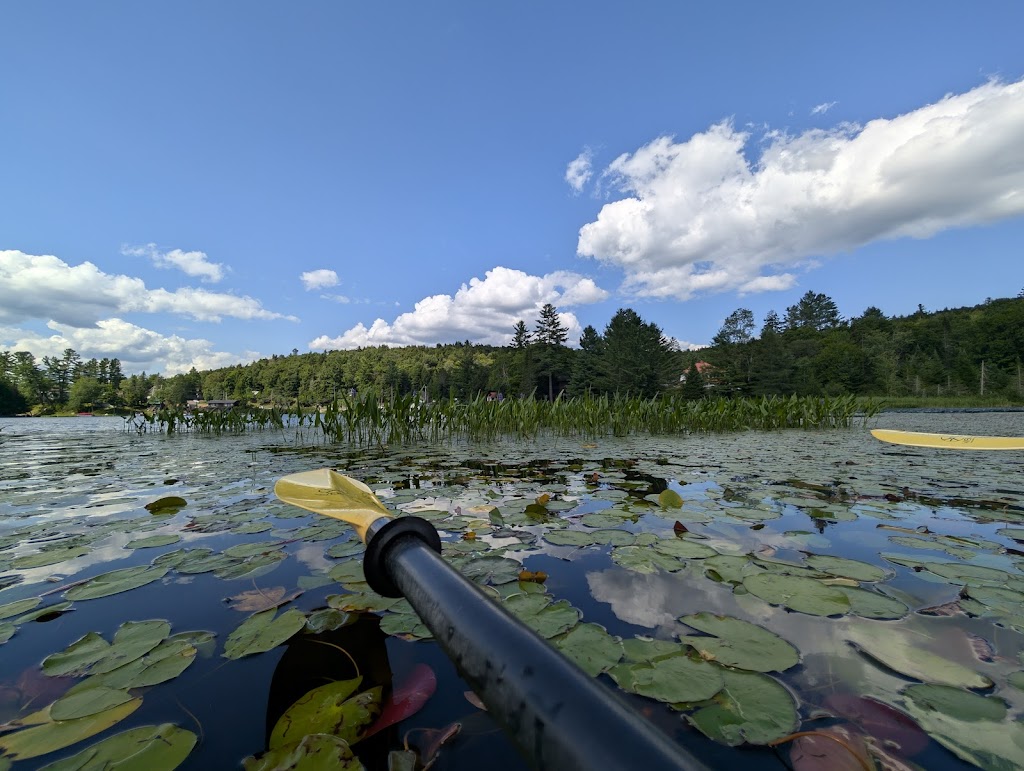 Frisky Otter Tours | 148 NY-28, Inlet, NY 13360, USA | Phone: (315) 357-3444