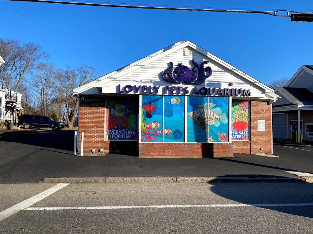 Lovely Pets Aquarium | 85 Summer St, Kingston, MA 02364 | Phone: (617) 786-1898