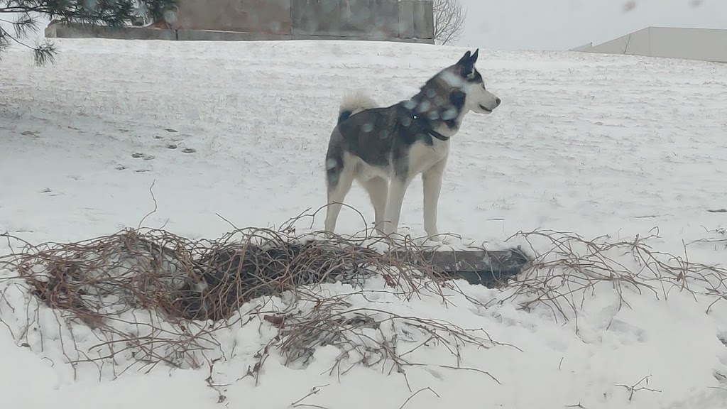 Westminster Station Pond | R0100116, Denver, CO 80221, USA | Phone: (303) 658-2400 Westminster Station Pond | R0100116, Denver, CO 80221, USA | Phone: (303) 658-2400