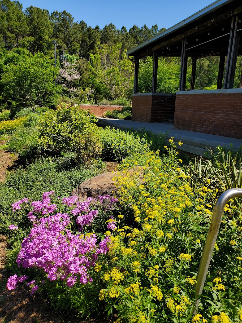 Joy of Movement | 480 Hillsboro St, Pittsboro, NC 27312, USA | Phone: (919) 200-2129