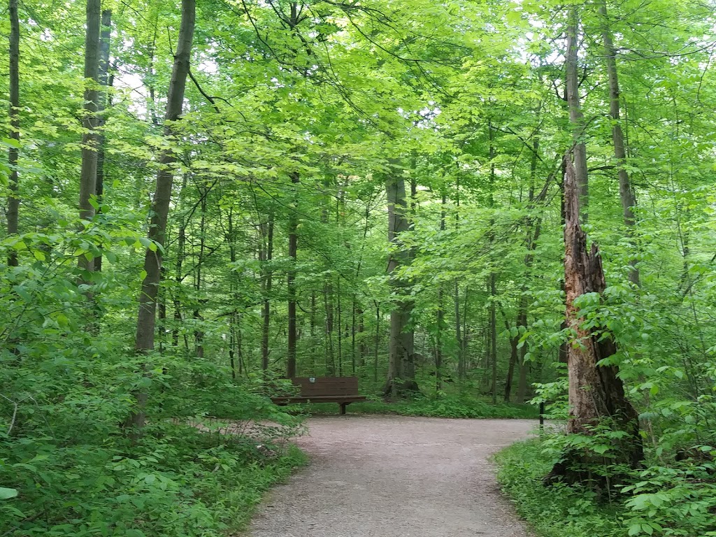 Blacklick Woods Metro Park | 6975 E Livingston Ave, Reynoldsburg, OH 43068, USA | Phone: (614) 861-8759