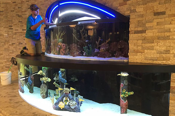 Tampa Aquarium Service | 4605 Reece Rd, Plant City, FL 33566, USA | Phone: (813) 486-4798