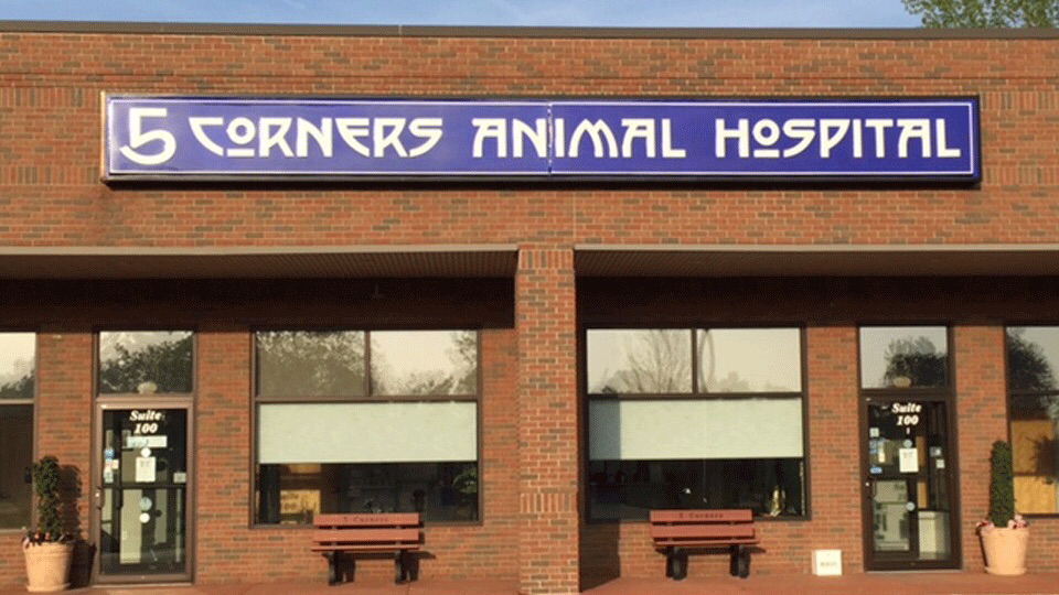 5 Corners Animal Hospital | 2799 Southwestern Blvd #100, Orchard Park, NY 14127, USA | Phone: (716) 677-4477