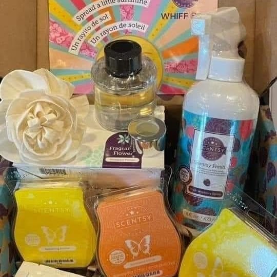 Tiffany Rausch - Independent Scentsy Consultant | 915 E North D St, Gas City, IN 46933, USA | Phone: (765) 667-1613