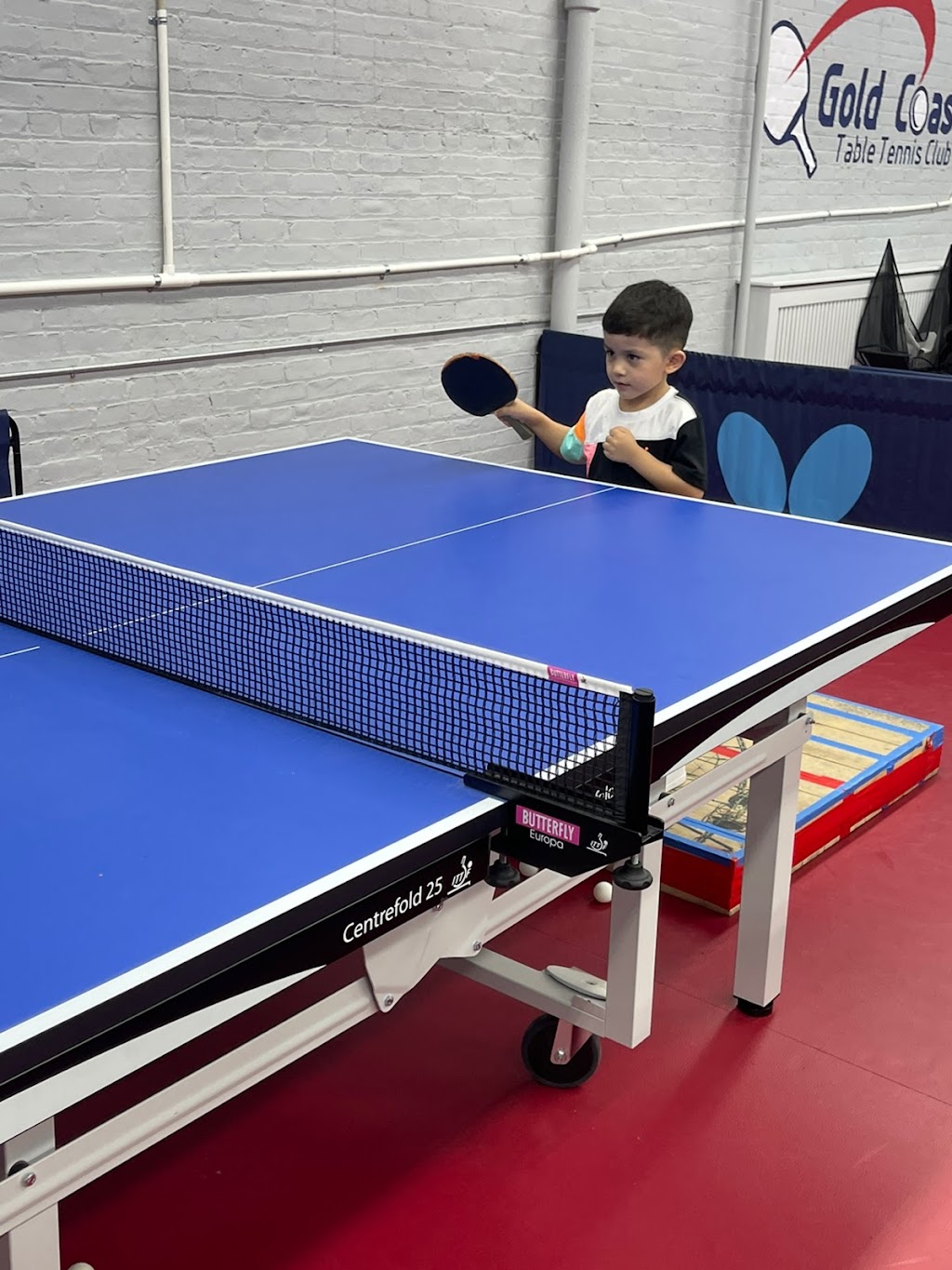 Gold Coast Table Tennis Club | 52 Main St Rear, Port Washington, NY 11050, USA | Phone: (516) 898-1600