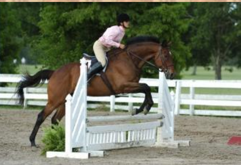 Madisonville Equestrian Center | 135 Vista St, Madisonville, LA 70447, USA | Phone: (985) 778-6981