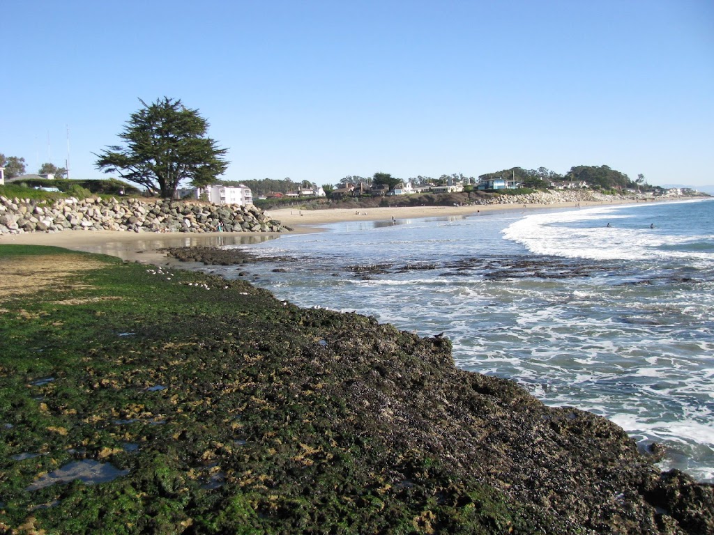 BeachHouseforyou | 22011 E Cliff Dr, Santa Cruz, CA 95062, USA | Phone: (831) 537-7578