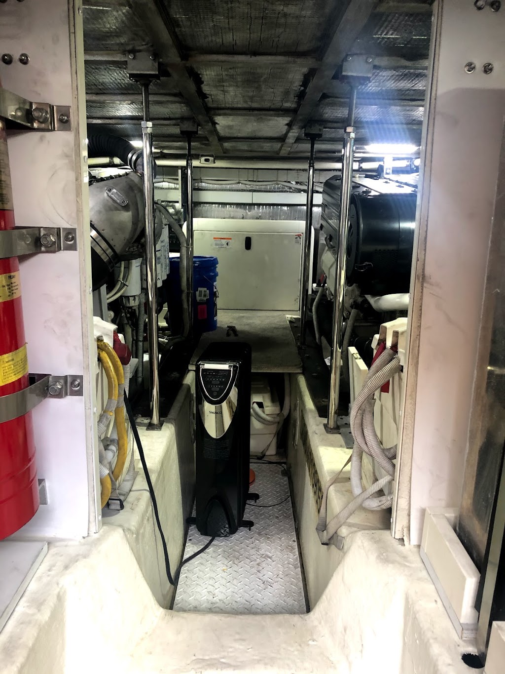 Salty Paws Charters and Marine Mechanical LLC | 6528 Walter Reed Dr, Gloucester, VA 23061, USA | Phone: (804) 832-7382