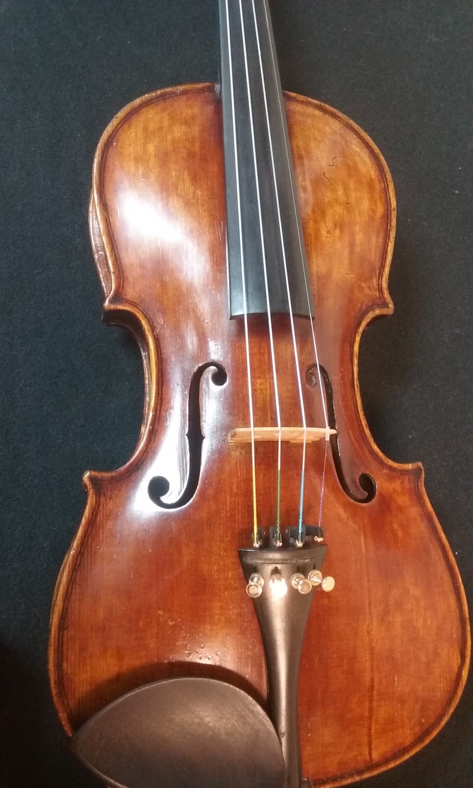 Monacos Violin Shop | 55 Crosspoint Pkwy, Getzville, NY 14068, USA | Phone: (716) 688-8600