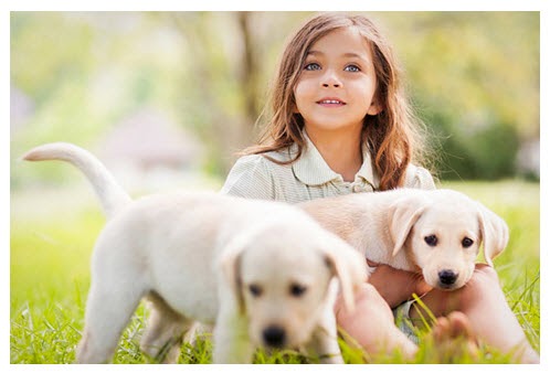 Animal Medical Center of Redlands | 340 N 6th St, Redlands, CA 92374, USA | Phone: (909) 793-1499