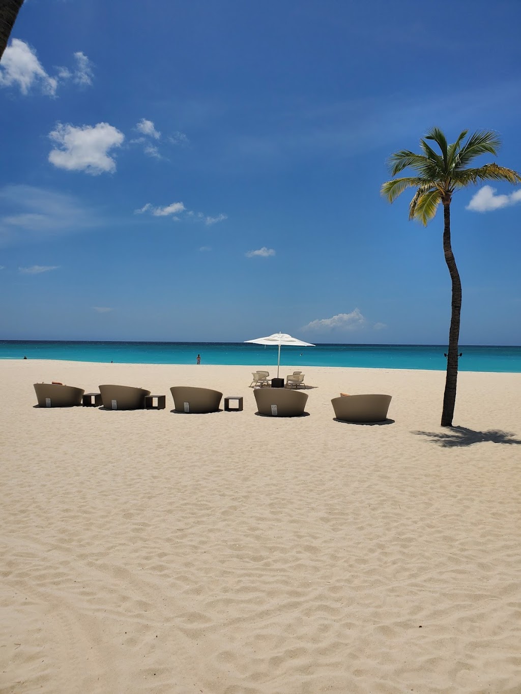 Travel Dreams | 8801 Wesley St Suite A, Greenville, TX 75402, USA | Phone: (903) 454-3381