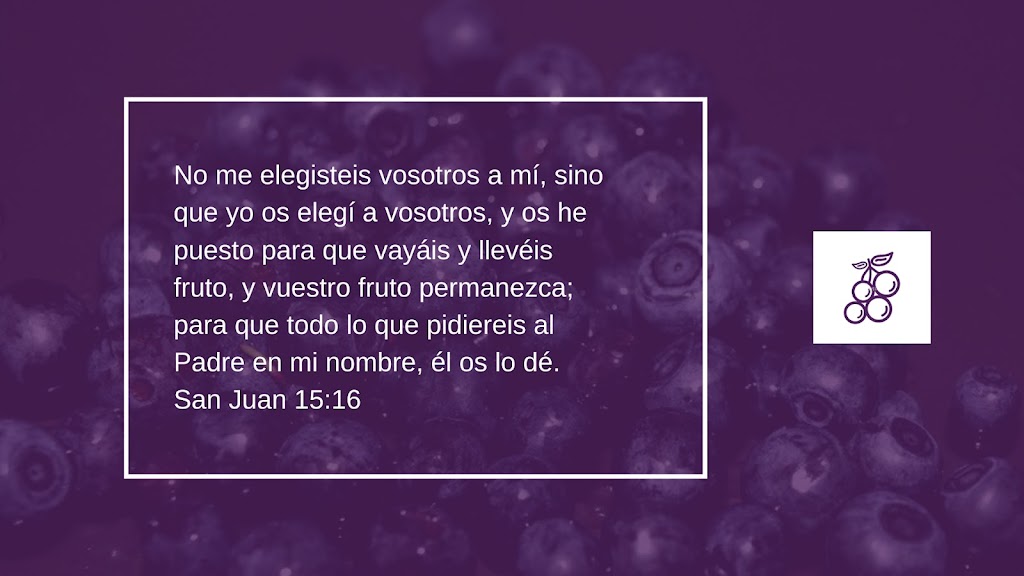 Iglesia de Dios Frutos de la Vid | 35636 FL-54, Zephyrhills, FL 33541, USA | Phone: (813) 766-6130