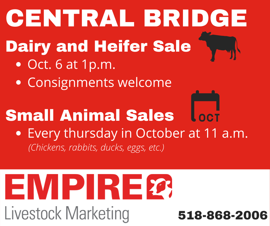 Empire Livestock Marketing | 872 NY-30A, Central Bridge, NY 12035 | Phone: (518) 868-2006