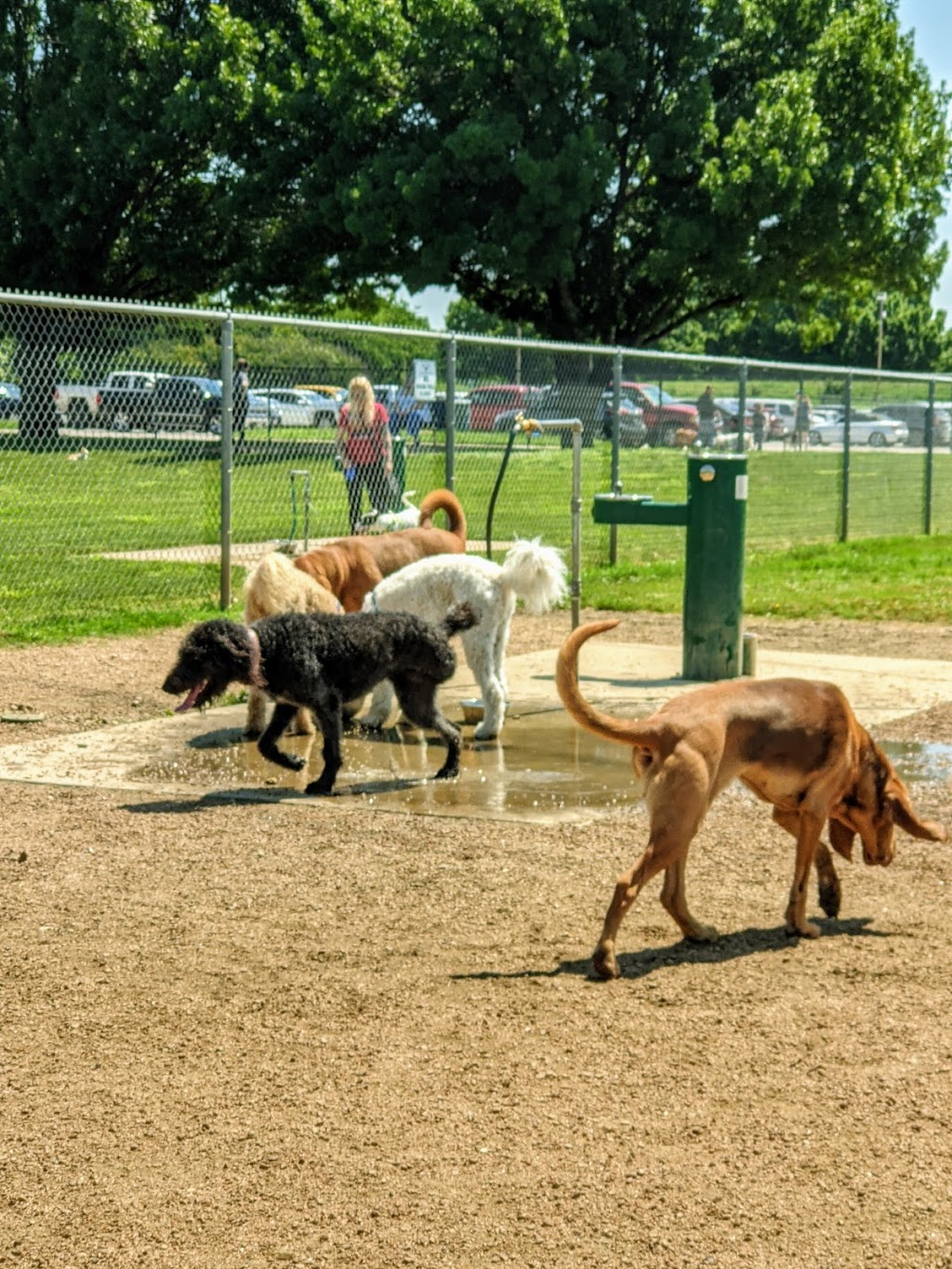 Fort Woof Dog Park | 751 Beach St, Fort Worth, TX 76111, USA | Phone: (972) 941-2275