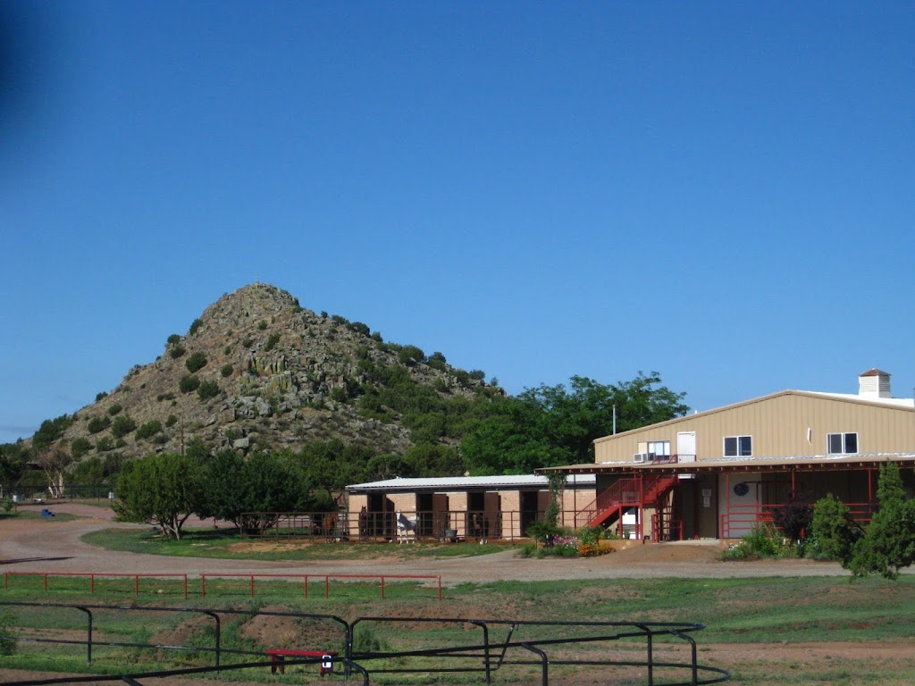 Thal Equine LLC | 69 Bonanza Creek Rd, Santa Fe, NM 87508, USA | Phone: (505) 438-6590