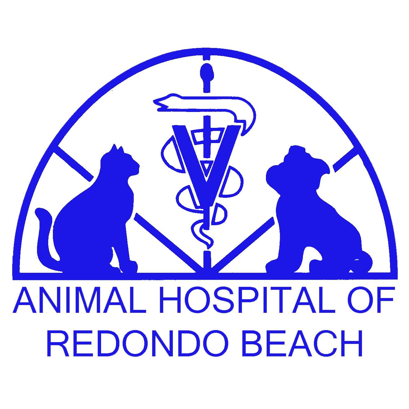 Animal Hospital of Redondo Beach | 820 Torrance Blvd, Redondo Beach, CA 90277, United States | Phone: (310) 540-9044