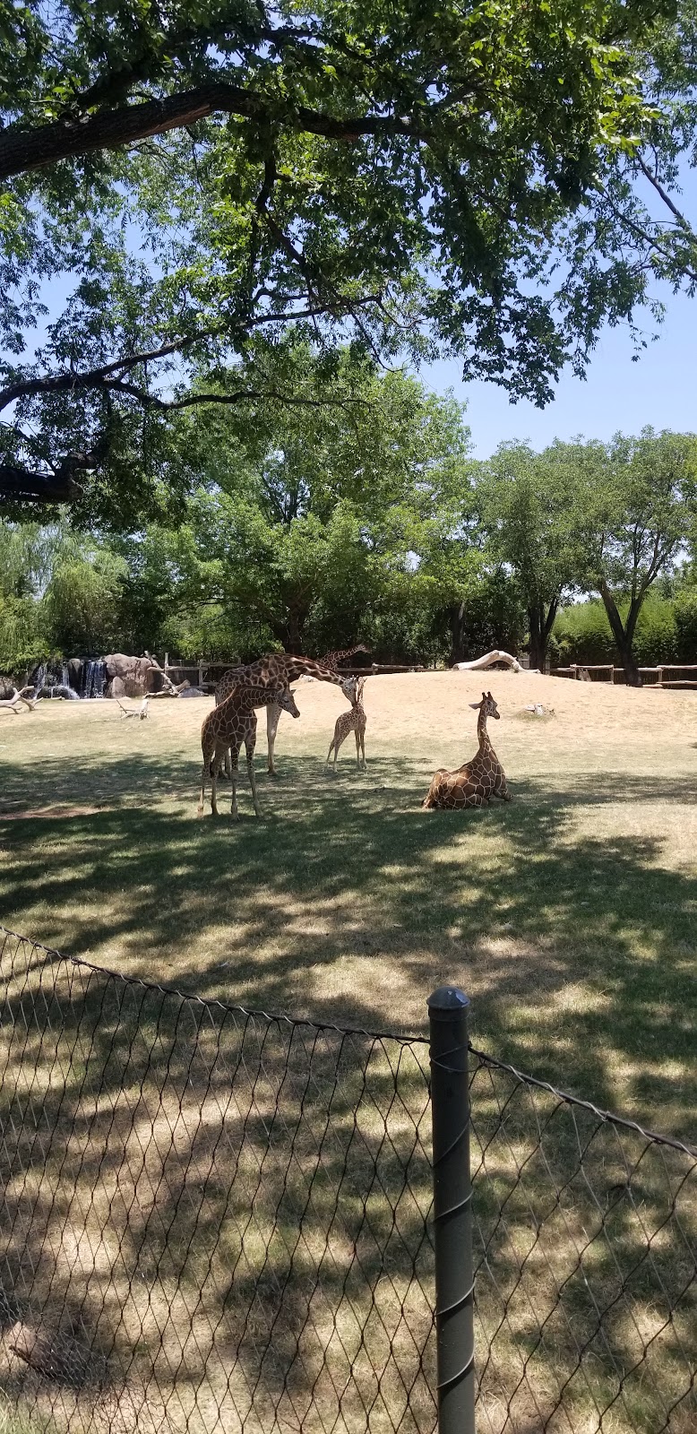 Ticket Booth at Fort Worth Zoo | Fort Worth, TX 76109, USA | Phone: (817) 759-7555
