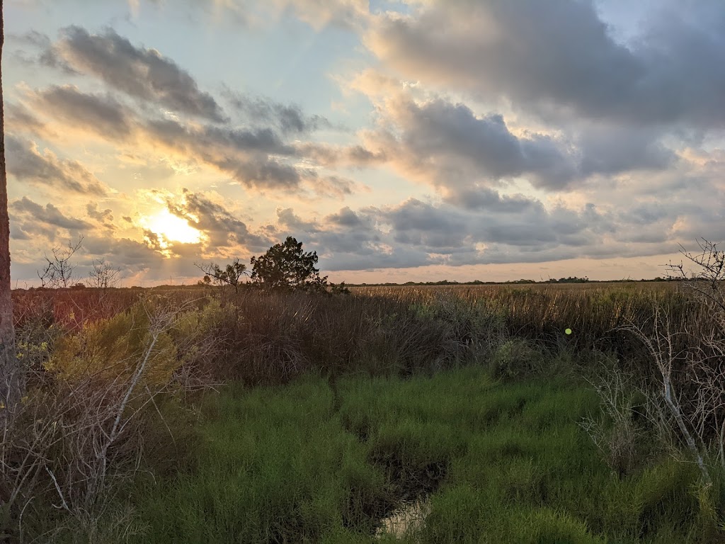 Werner-Boyce State Park Scenic Dr Trail Head | 10333 Scenic Dr, Port Richey, FL 34668, USA | Phone: (727) 816-1890