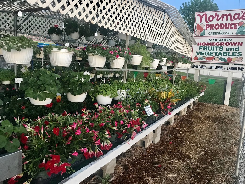 Normas Produce & Greenhouses | 3554 IL-157, Glen Carbon, IL 62034, USA | Phone: (618) 288-9056