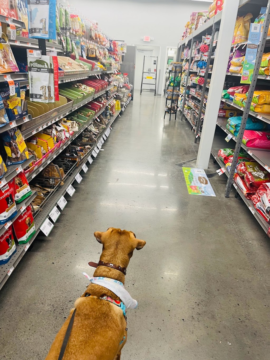 Pet Supplies Plus Wylie | 807 Woodbridge Pkwy, Wylie, TX 75098, USA | Phone: (469) 991-6200