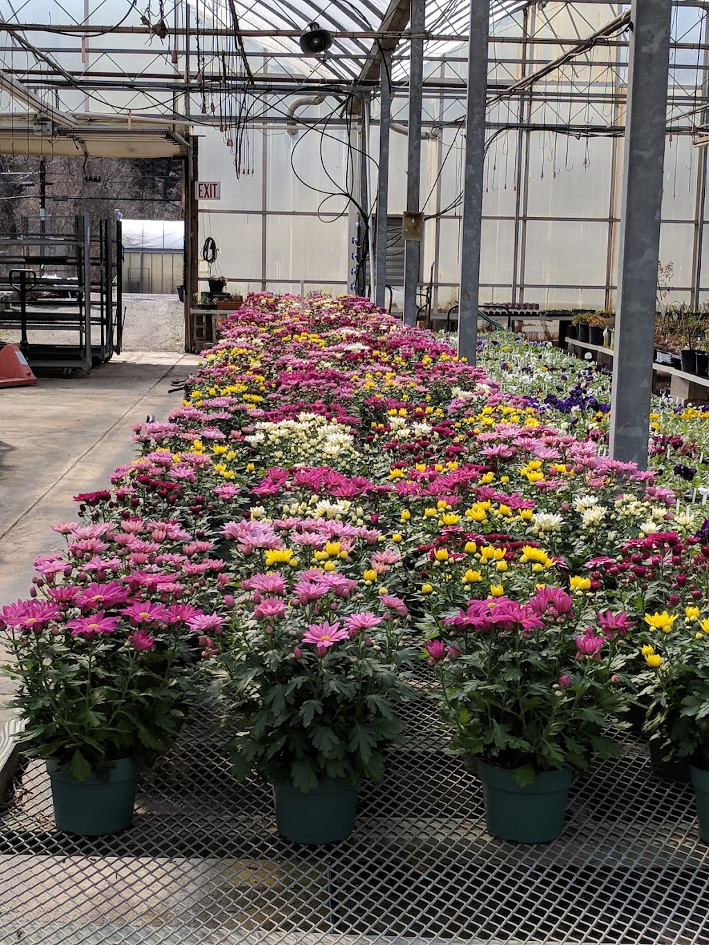 Duprees Root 88 Flowers and Garden Center | 6178 PA-88, Finleyville, PA 15332, USA | Phone: (724) 348-4550