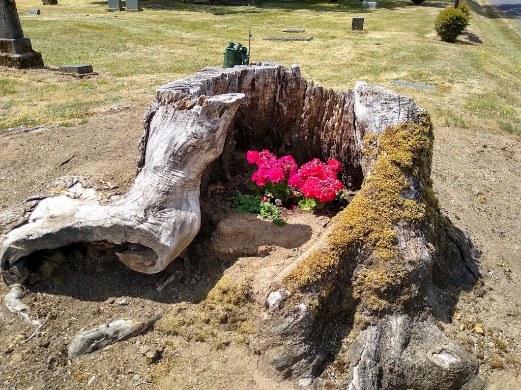 Damascus Pioneer Cemetery | 19428 SE Chitwood Rd, Damascus, OR 97089, USA | Phone: (503) 665-6361