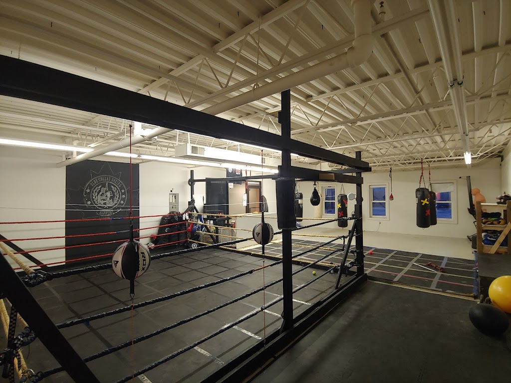 Blue Collar Boxing Academy | 3675 Tecumseh Rd E, Windsor, ON N8W 1H8, Canada | Phone: (519) 991-0055