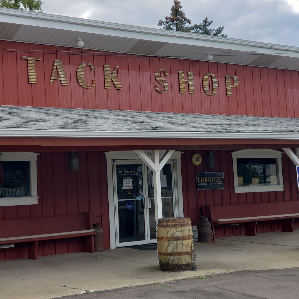 The Cheeky Pony Tack Shop & Boutique | 520 E Michigan Ave, Clinton, MI 49236 | Phone: (517) 456-5122
