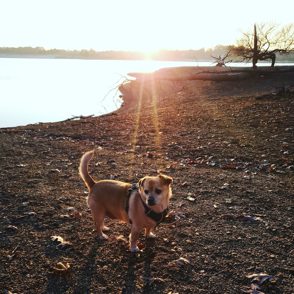 Hoover Dam Nature Trail | 7333-, 7449 Cubbage Rd, Westerville, OH 43081, USA | Phone: (614) 648-6019