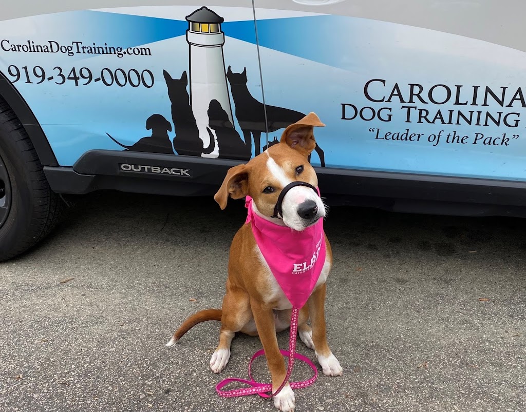 Carolina Dog Training, LLC | 101 Brimmer Ct, Cary, NC 27518, USA | Phone: (919) 349-0000