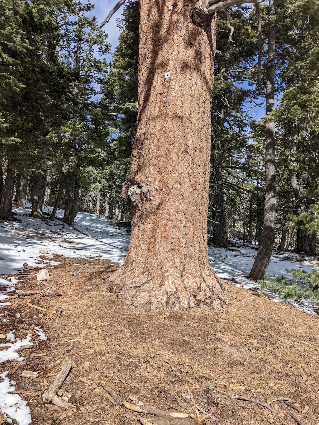 Boulder Oaks Trailhead | Old Hwy 80, Campo, CA 91906, USA | Phone: (858) 673-6180