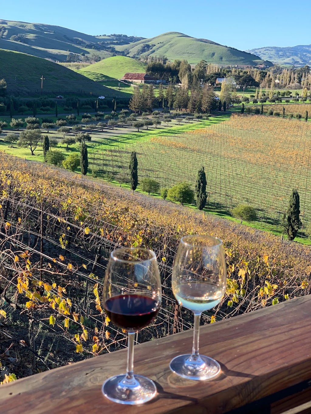 Viansa Winery | 25200 Arnold Dr, Sonoma, CA 95476, USA | Phone: (800) 995-4740